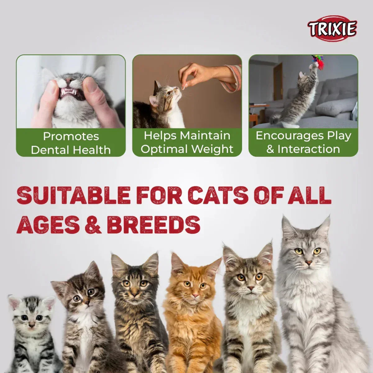 Trixie Premio Chicken Mini Sticks Cat Treat - 50g - Zigly