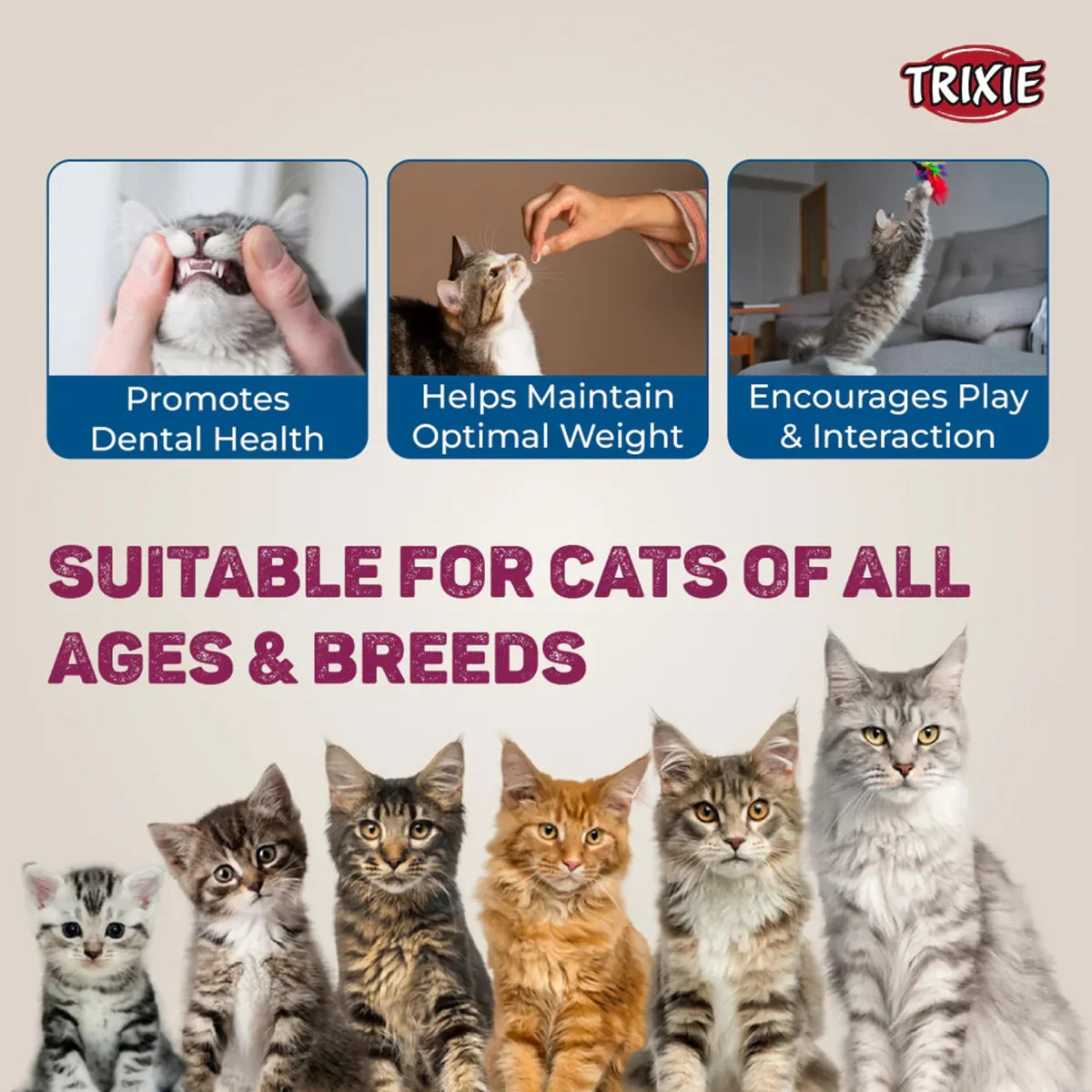 Trixie Premio Duck Filet Bites Cat Treat - 50g - Zigly