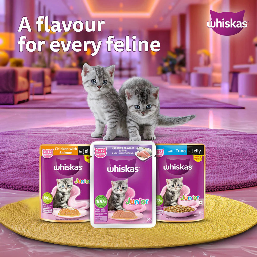 Whiskas Junior Mackerel Flavour Kitten (2-12 Months) Wet Cat Food - 70g - Zigly