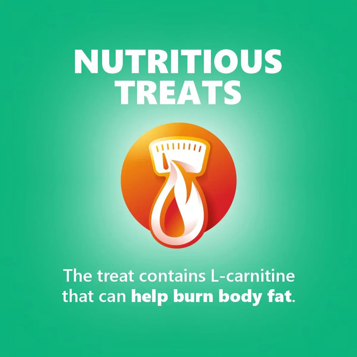 JerHigh Spinach Dog Meaty Treat - 70g - Zigly