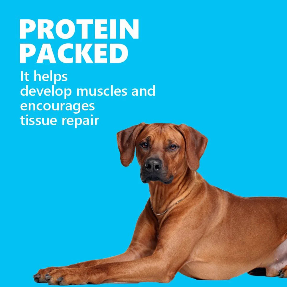 JerHigh Milk Stix Dog Meaty Treat - 100g - Zigly