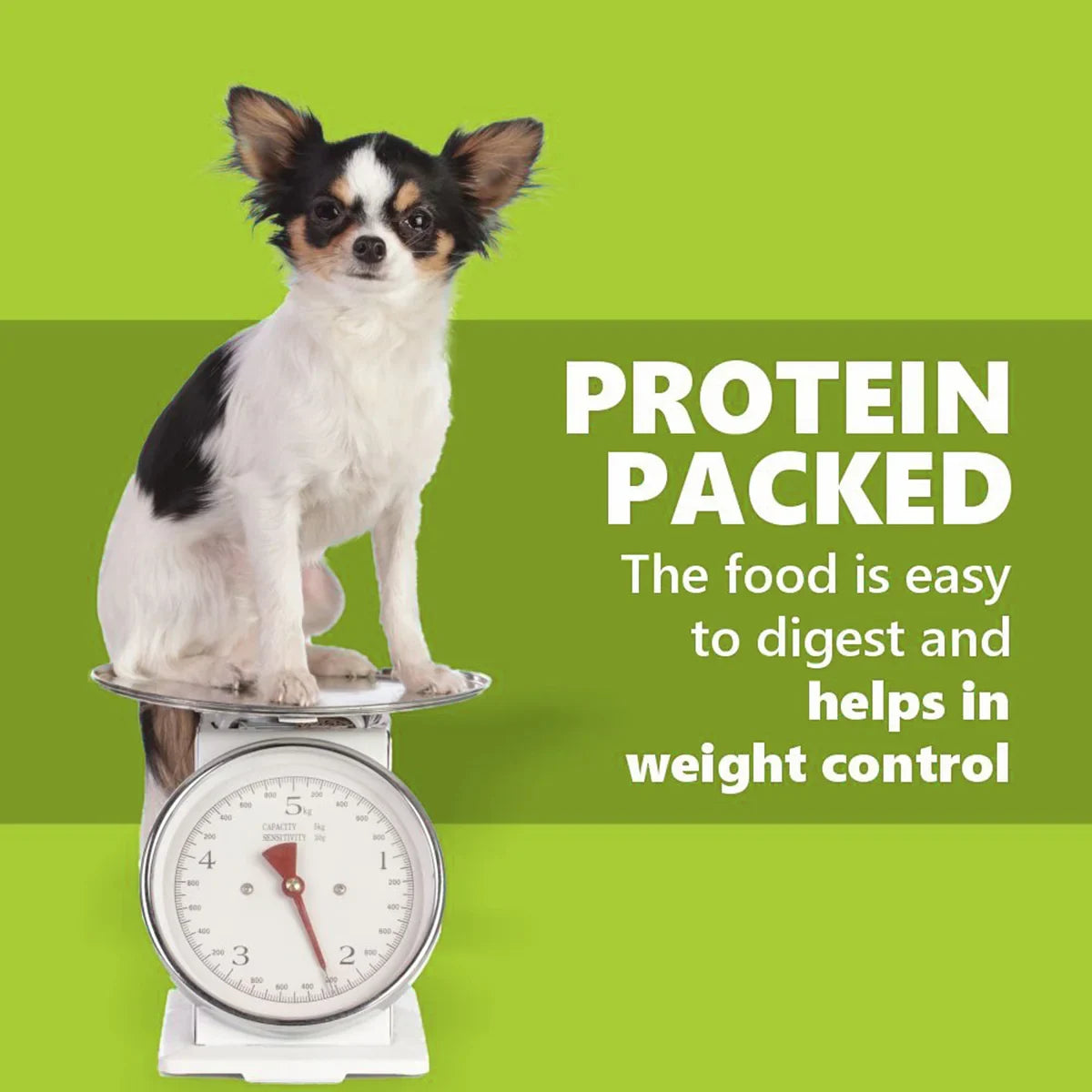 JerHigh Spinach Dog Meaty Treat - 100g - Zigly