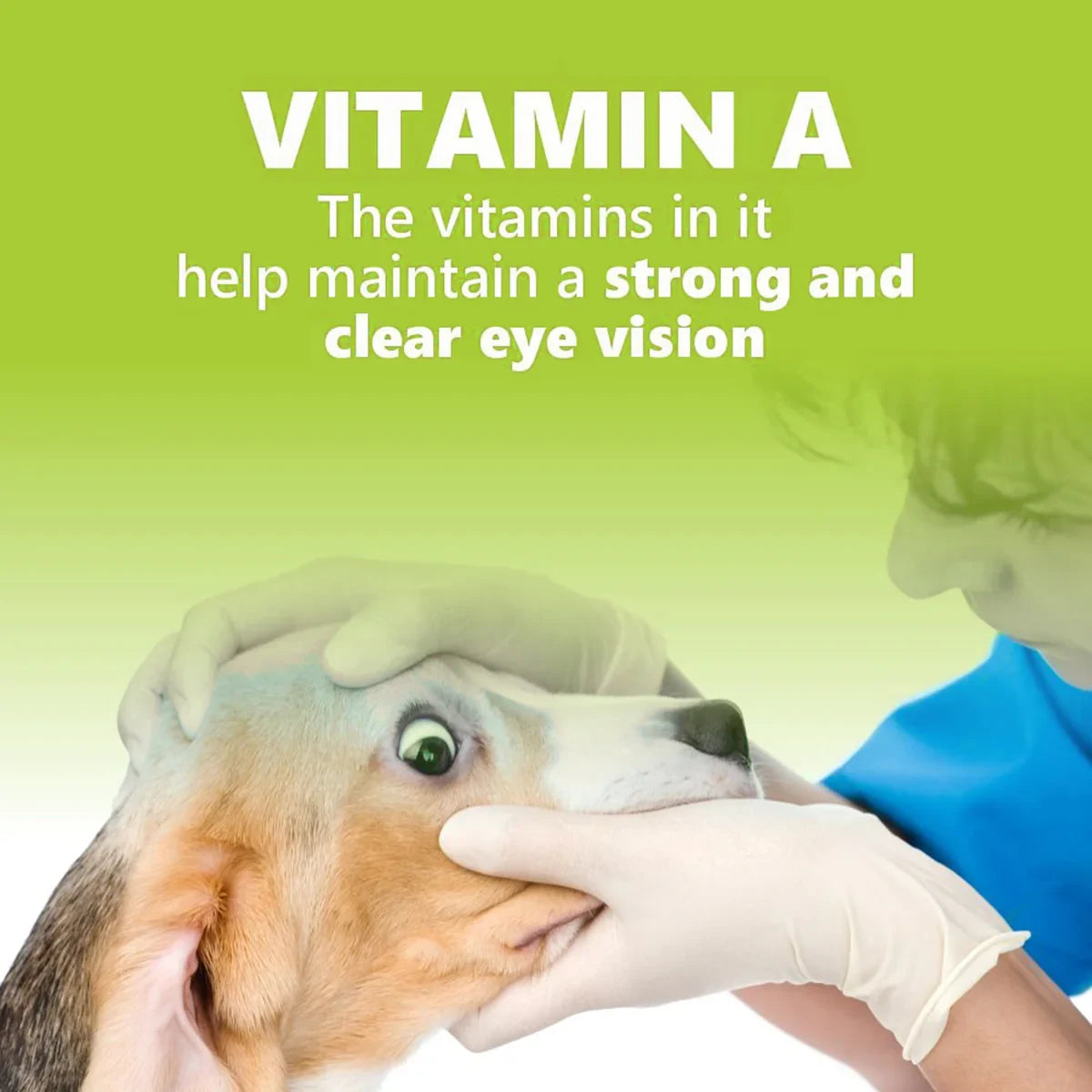 JerHigh Spinach Dog Meaty Treat - 100g - Zigly