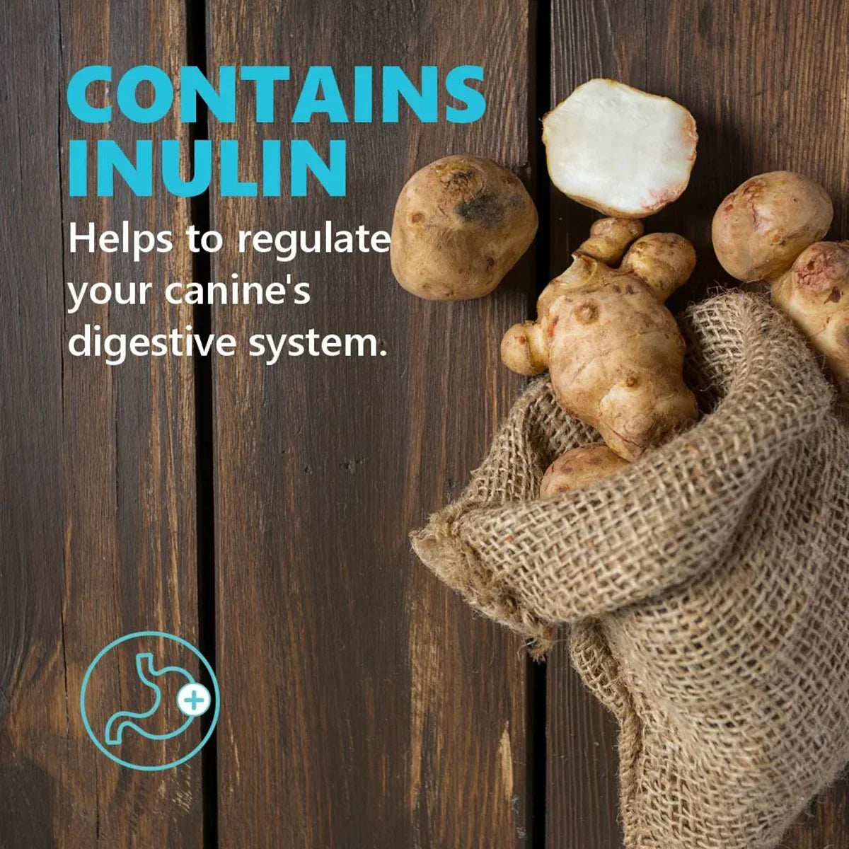 JerHigh Spinach Dog Meaty Treat - 100g - Zigly