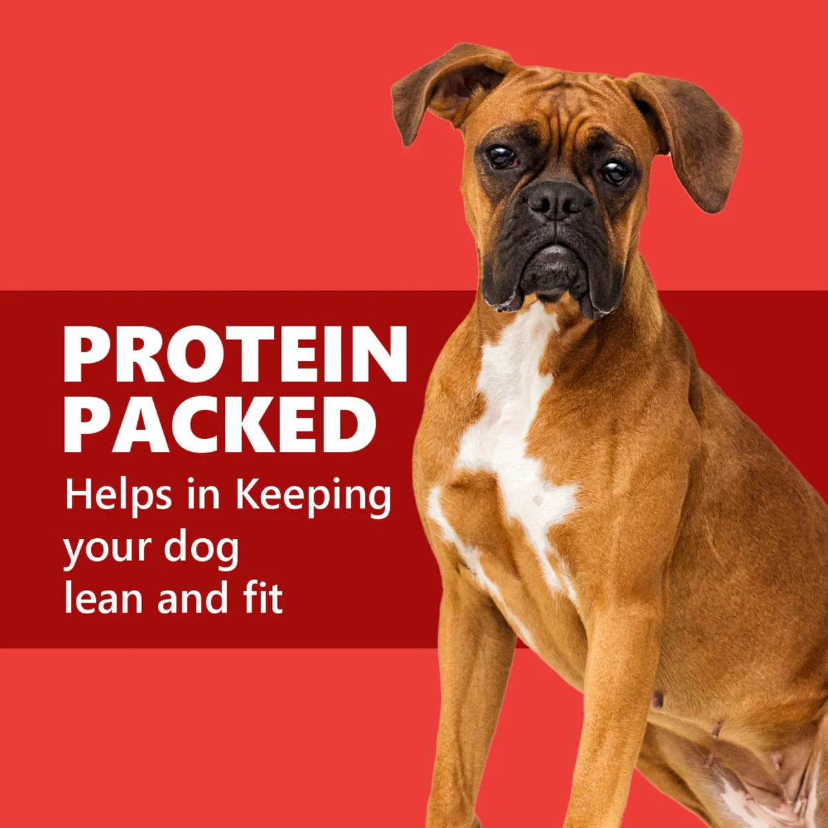 JerHigh Stick Dog Meaty Treat - 400g - Zigly