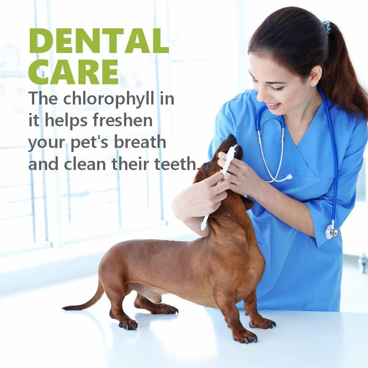 Gnawlers Dentalight Dental Bone 60 in 1 Dog Treat Small - Dental Treat - 540g - Zigly