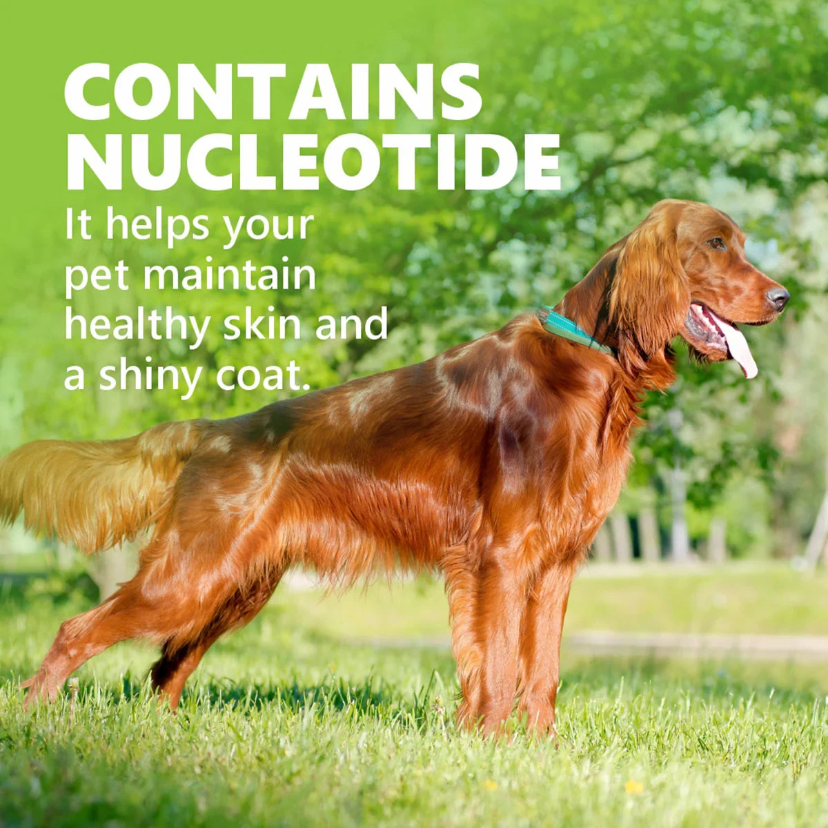 Gnawlers Howbone Dog Snack Small 15-in-1 Milk Dog Treat  270g - Zigly