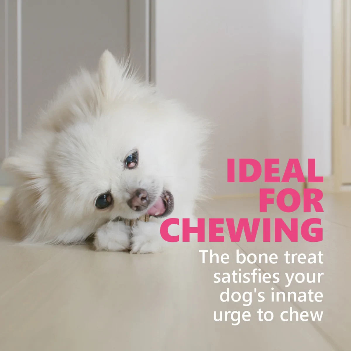 Gnawlers Calcium Milk Sticks No Meat with Added Calcium Dog Dental Treat - 270g - Zigly