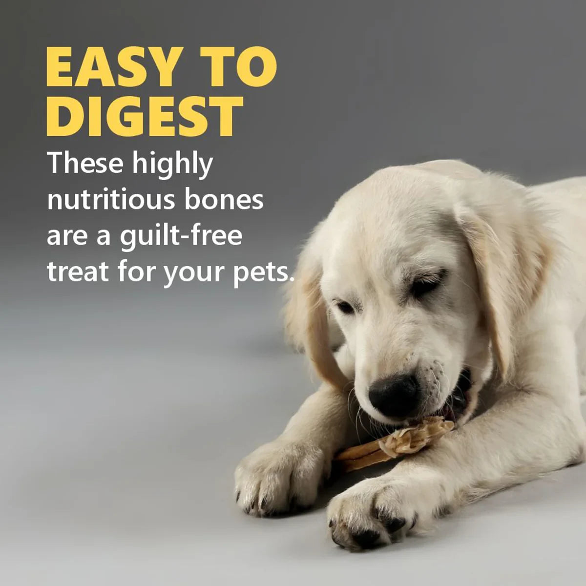 Gnawlers Calcium Milk Bone No Meat with Added Calcium 35 in 1 Medium Dog Dental Treat - 800g - Zigly