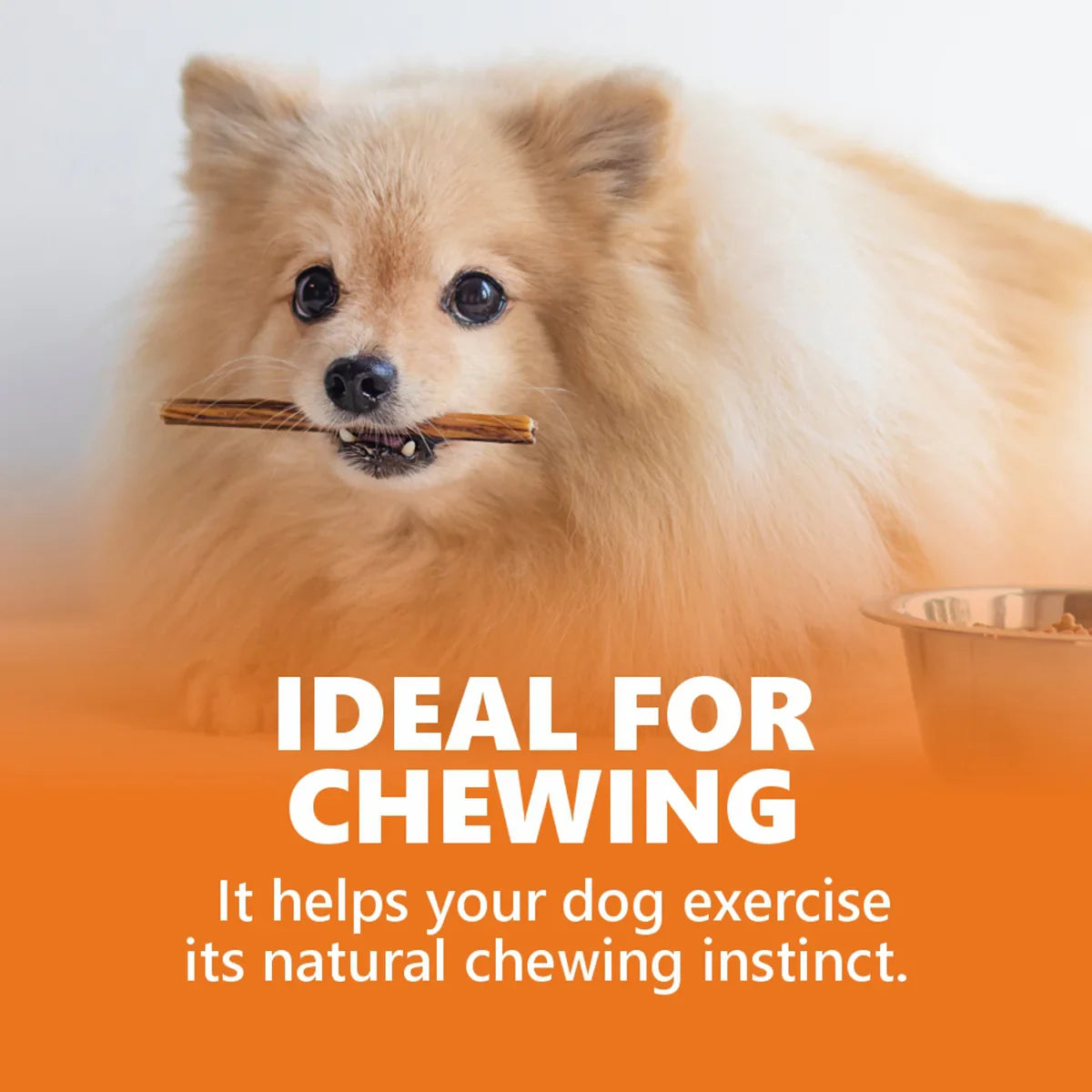 Goodies Energy Treats Chicken Liver Flavour Dog Dental Treat - 500g - Zigly