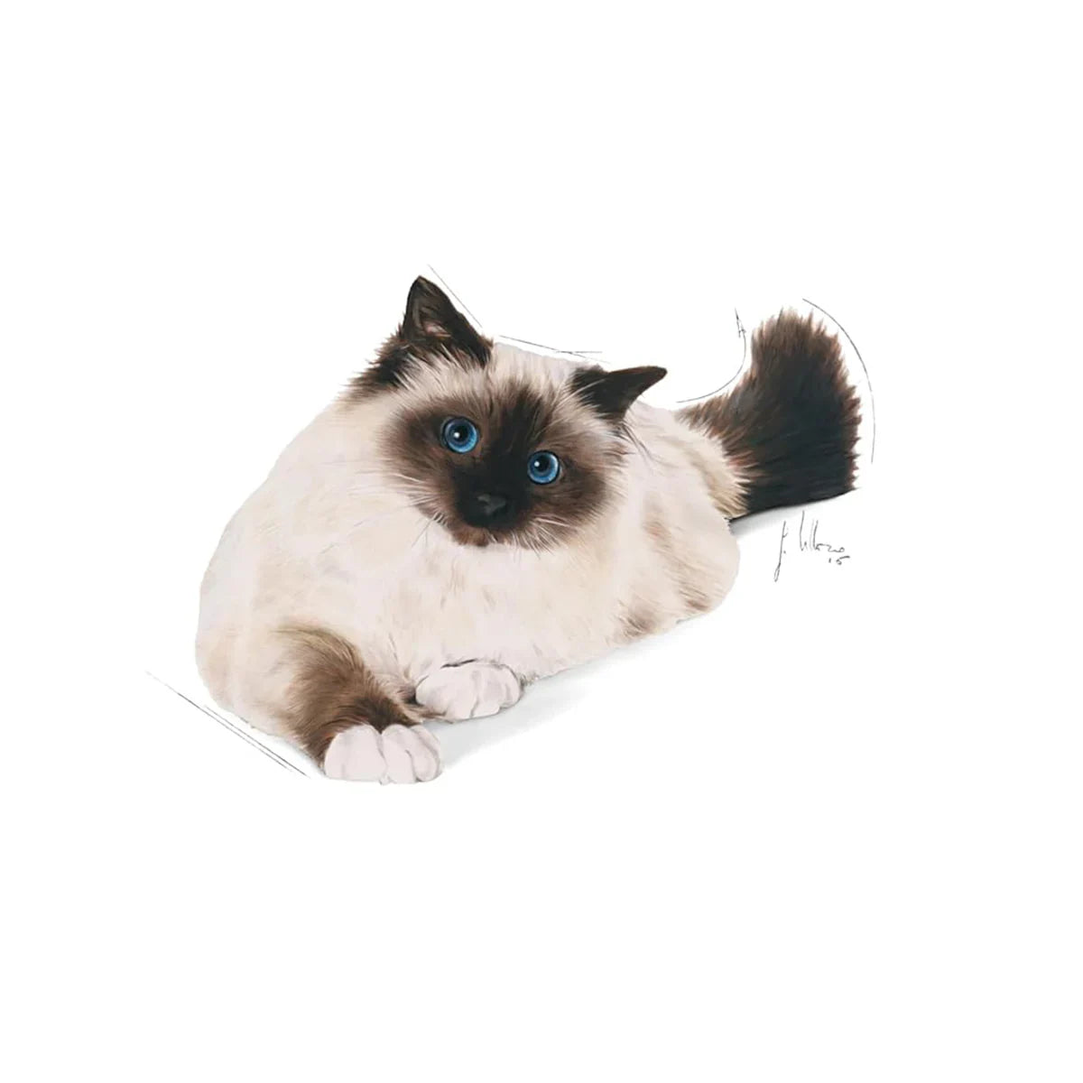 Royal Canin Hairball Care Dry Cat Food - All Breed Adult - 2kg - Zigly