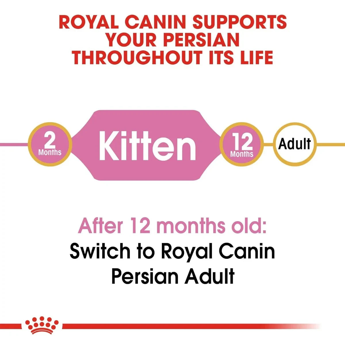 Royal Canin Persian Kitten Dry Cat Food - Zigly