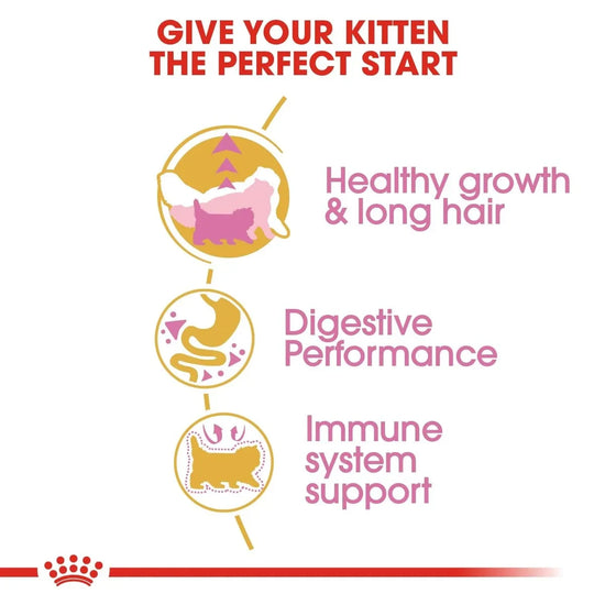 Royal Canin Persian Kitten Dry Cat Food - Zigly