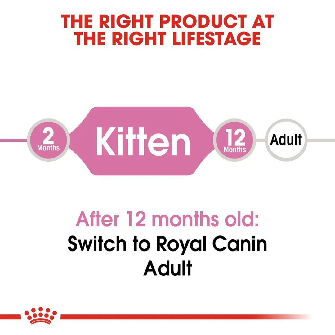 Royal Canin Kitten 36 Dry Cat Food - All Breed - 2kg - Zigly