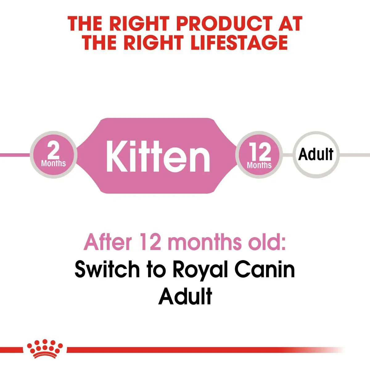 Royal Canin Kitten 36 Dry Cat Food - All Breed - 2kg - Zigly
