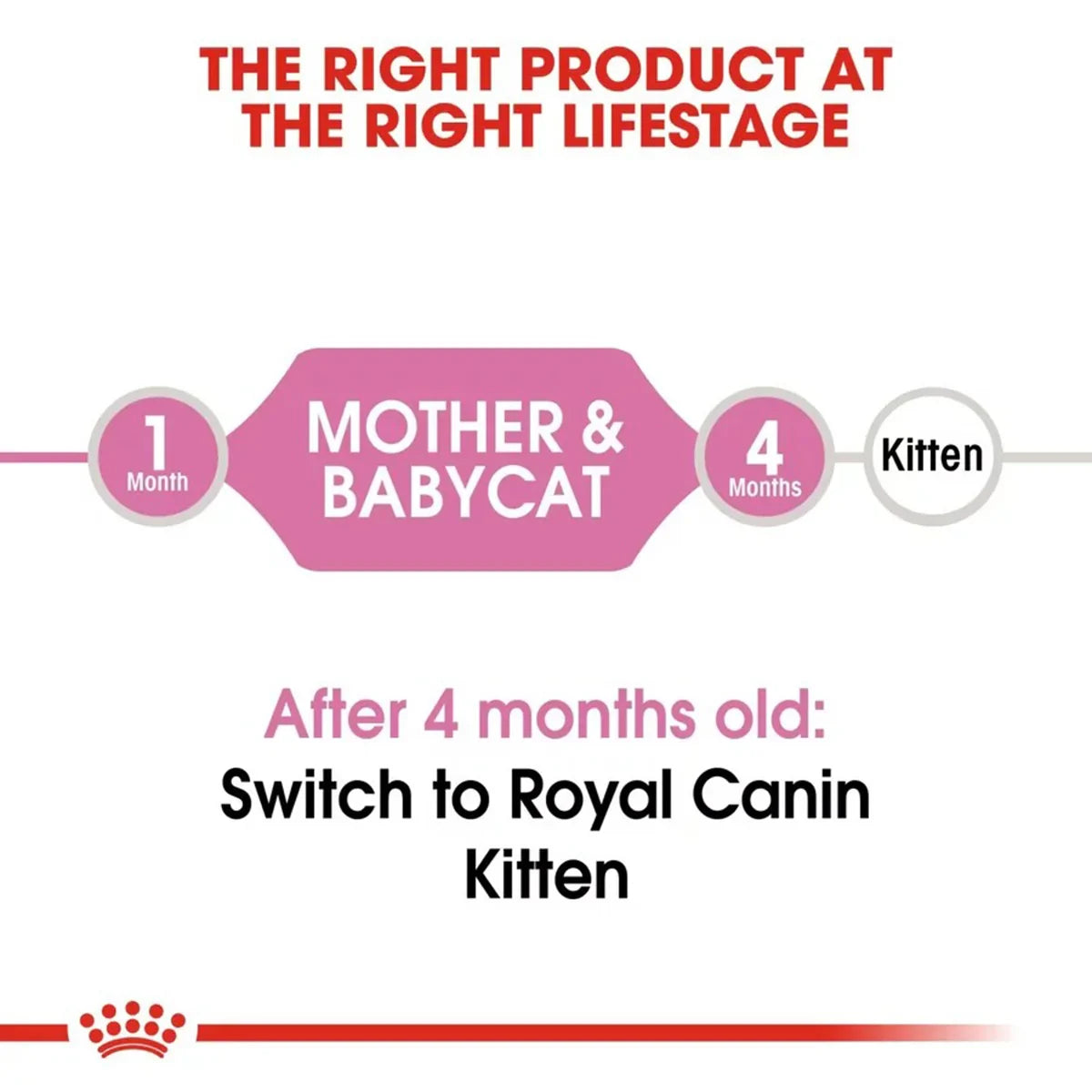 Royal Canin Mother & Babycat Dry Cat Food - All Breed - Zigly