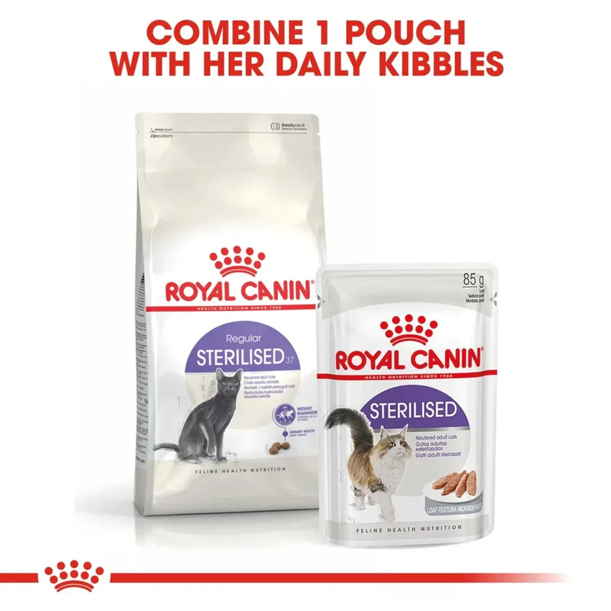 Royal Canin Sterilised 37 Adult Dry Cat Food - All Breed - Zigly