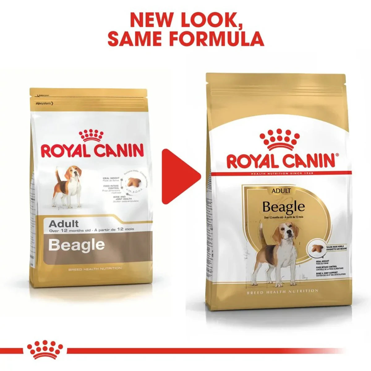 Royal Canin Beagle Adult Dry Dog Food - Zigly