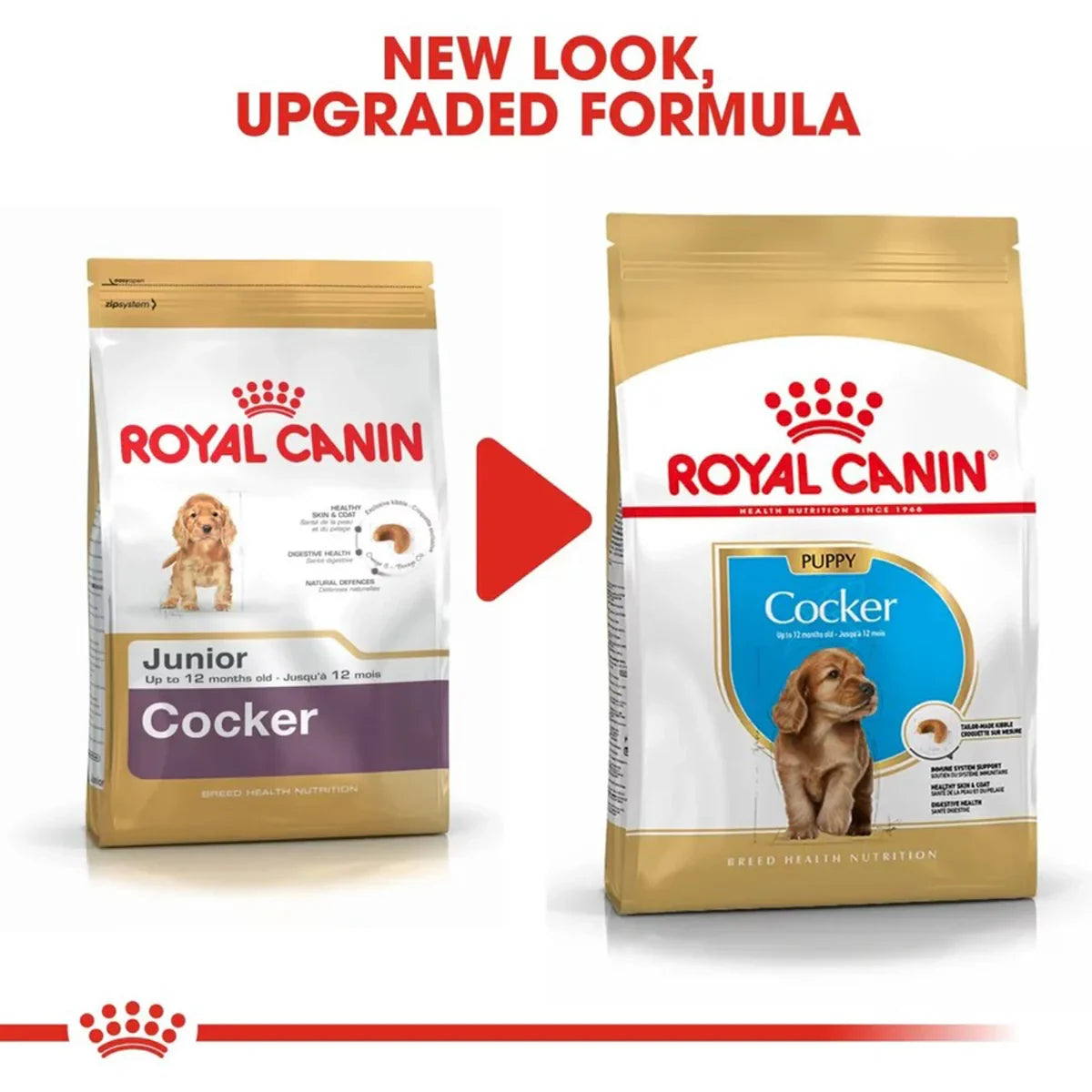 Royal Canin Cocker Puppy Dry Dog Food - 3kg - Zigly