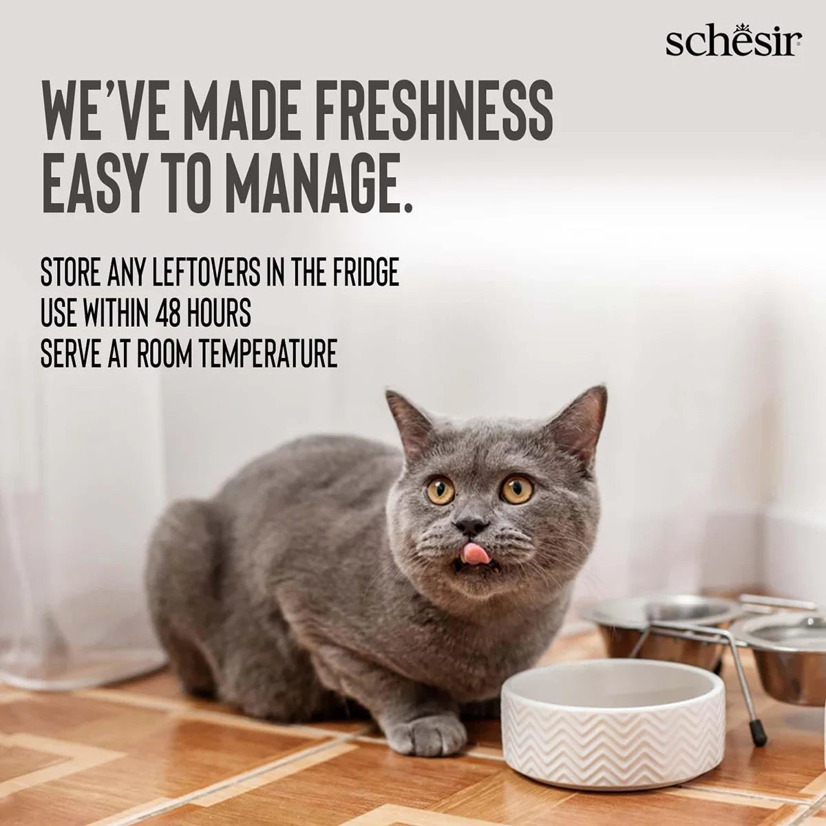 Schesir Pink Salmon & Carrot Soup Pouch Wet Cat Food - All Breed Adult - 85g - Zigly