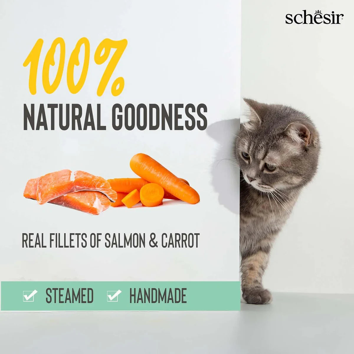 Schesir Pink Salmon & Carrot Soup Pouch Wet Cat Food - All Breed Adult - 85g - Zigly