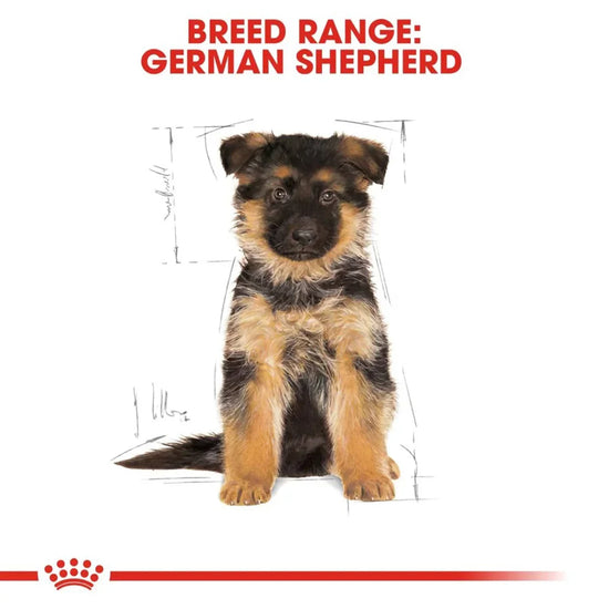 Royal Canin German Shepherd Puppy Dry Dog Food - Zigly