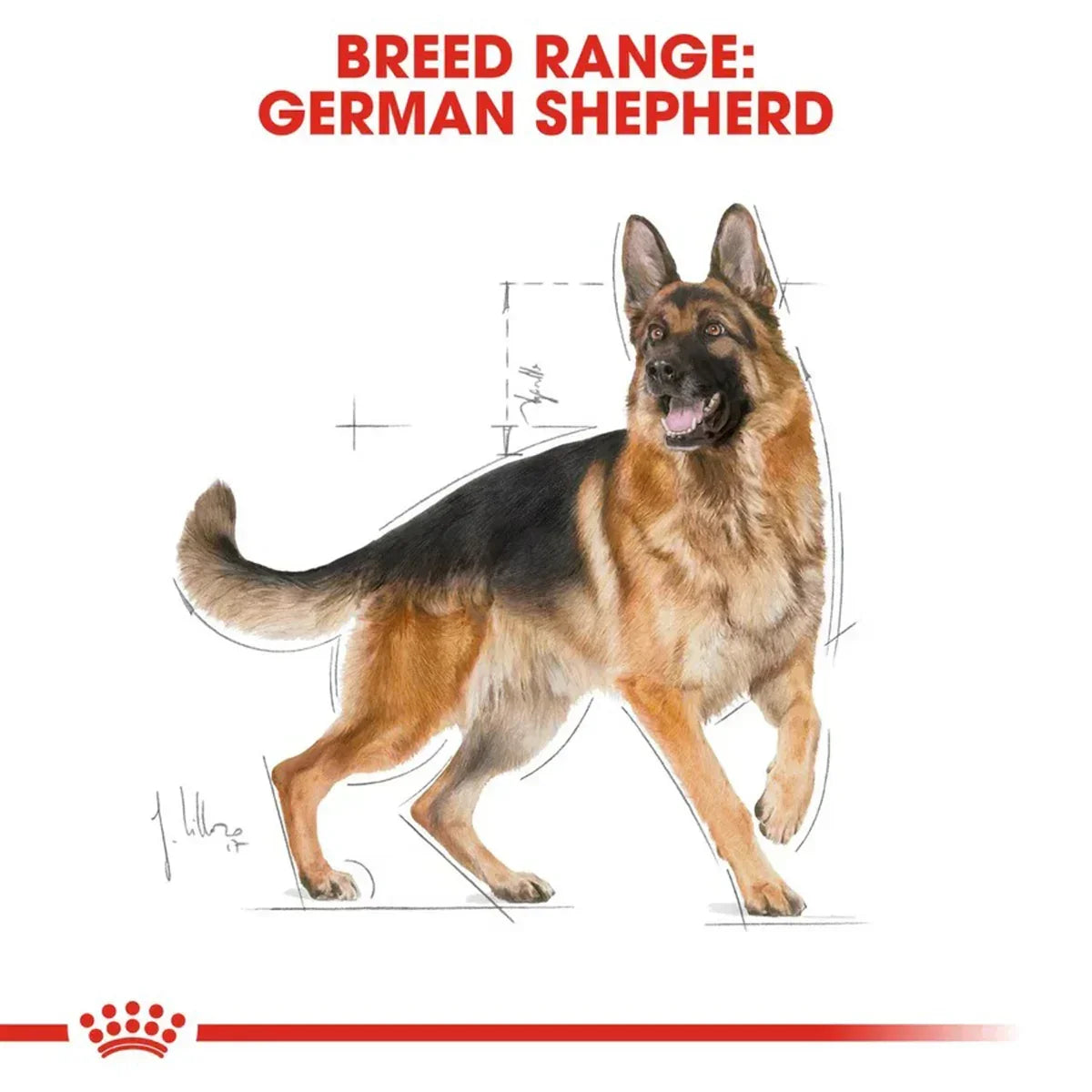 Royal Canin German Shepherd Adult Dry Dog Food - Zigly