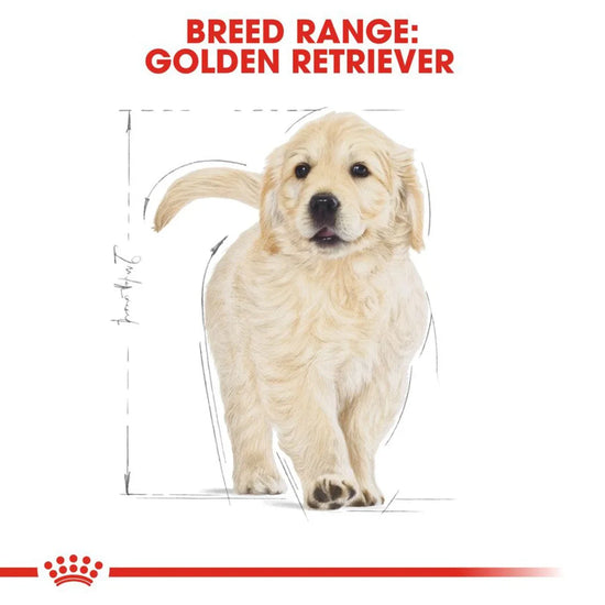 Royal Canin Golden Retriever Puppy Dry Dog Food - Zigly