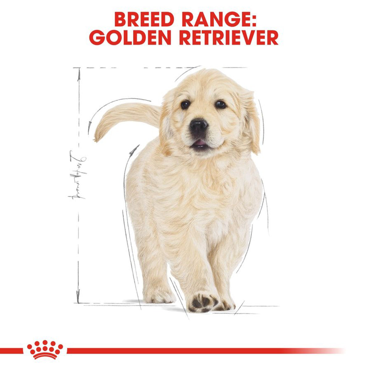 Royal Canin Golden Retriever Puppy Dry Dog Food - Zigly