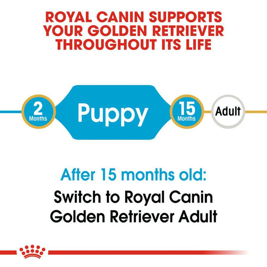 Royal Canin Golden Retriever Puppy Dry Dog Food - Zigly