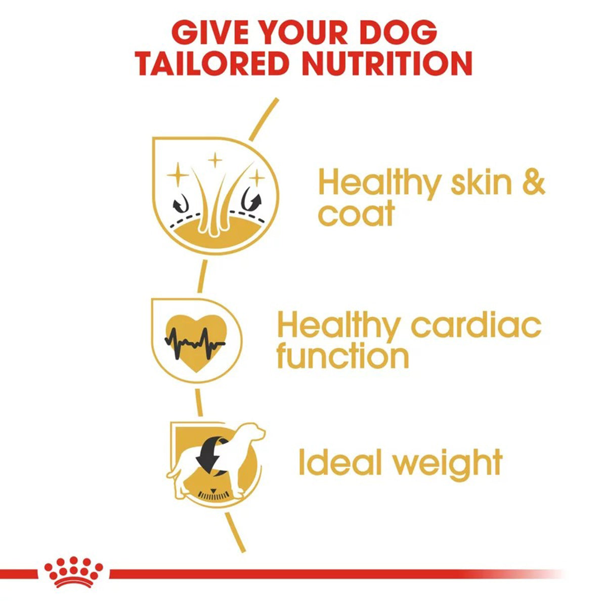 Royal Canin Golden Retriever Adult Dry Dog Food - Zigly