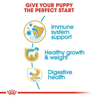 Royal Canin Labrador Retriever Puppy Dry Dog Food - Zigly