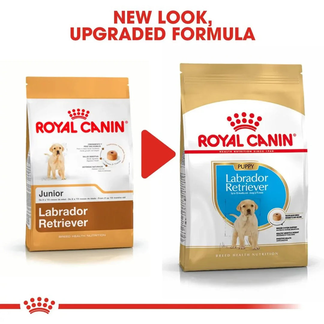 Royal Canin Labrador Retriever Puppy Dry Dog Food - Zigly