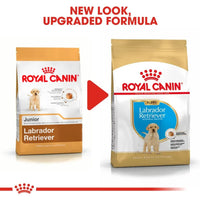 Royal Canin Labrador Retriever Puppy Dry Dog Food - Zigly