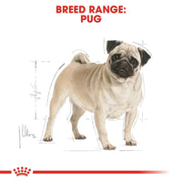 Royal Canin Pug Adult Dry Dog Food - Zigly