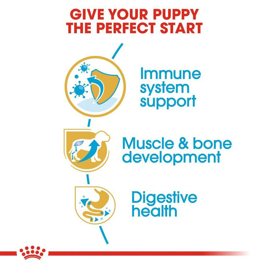 Royal Canin Rottweiler Puppy Dry Dog Food - Zigly