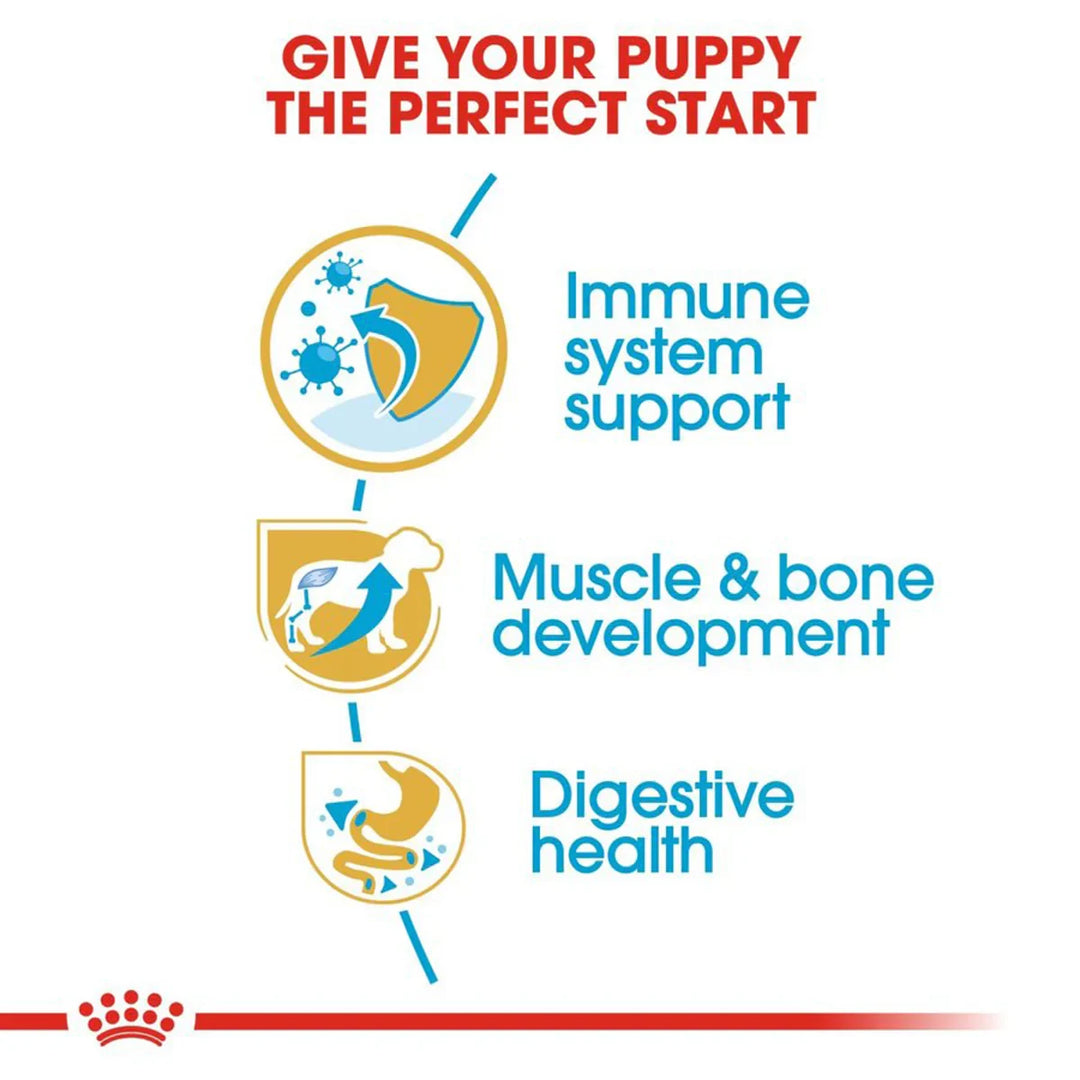 Royal Canin Rottweiler Puppy Dry Dog Food - Zigly