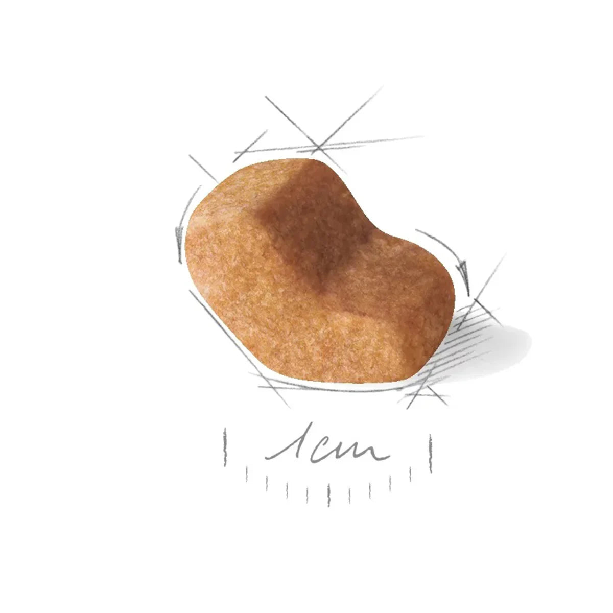 Royal Canin Shih Tzu Adult Dry Dog Food - Zigly