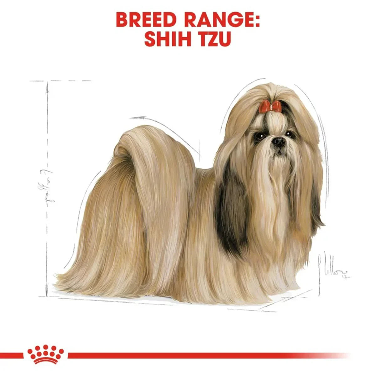 Royal Canin Shih Tzu Adult Dry Dog Food - Zigly