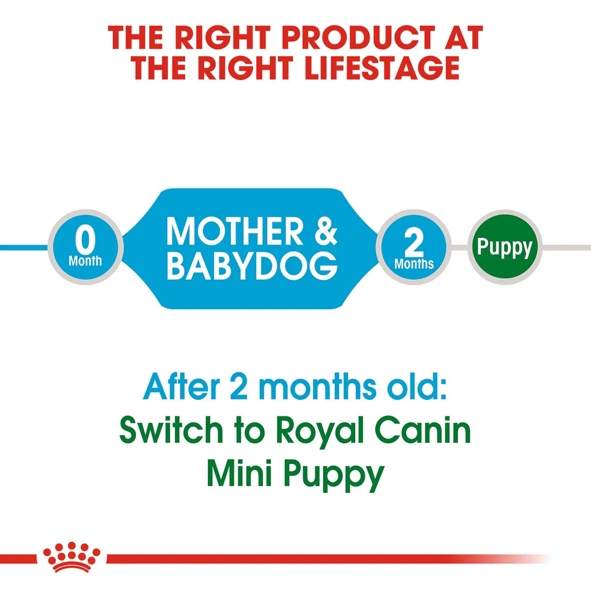 Royal Canin Mini Starter Dry Dog Food - Zigly