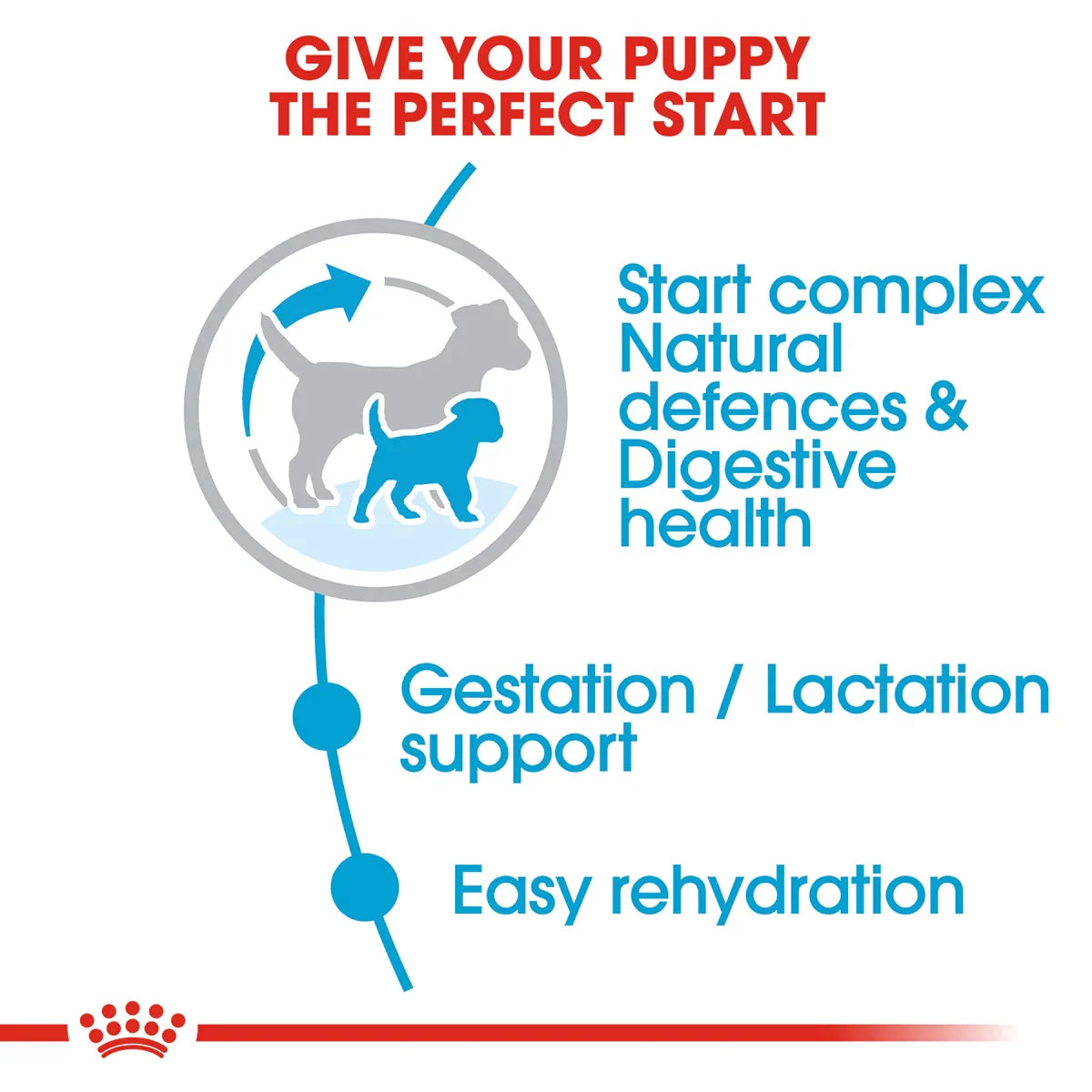 Royal Canin Mini Starter Dry Dog Food - Zigly