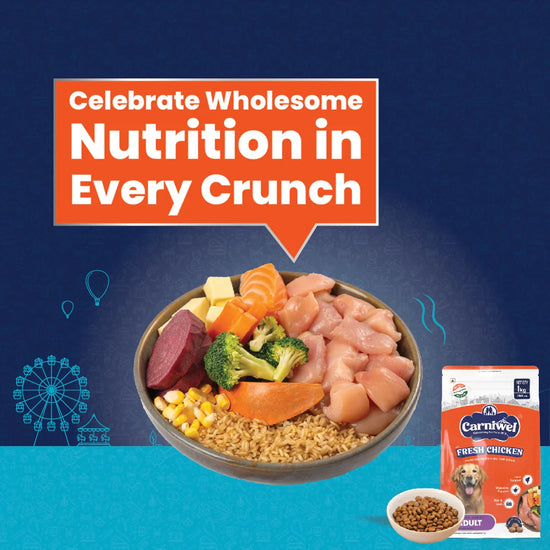 Carniwel Fresh Chicken Dry Dog Food for Large Breed, Adult - Zigly