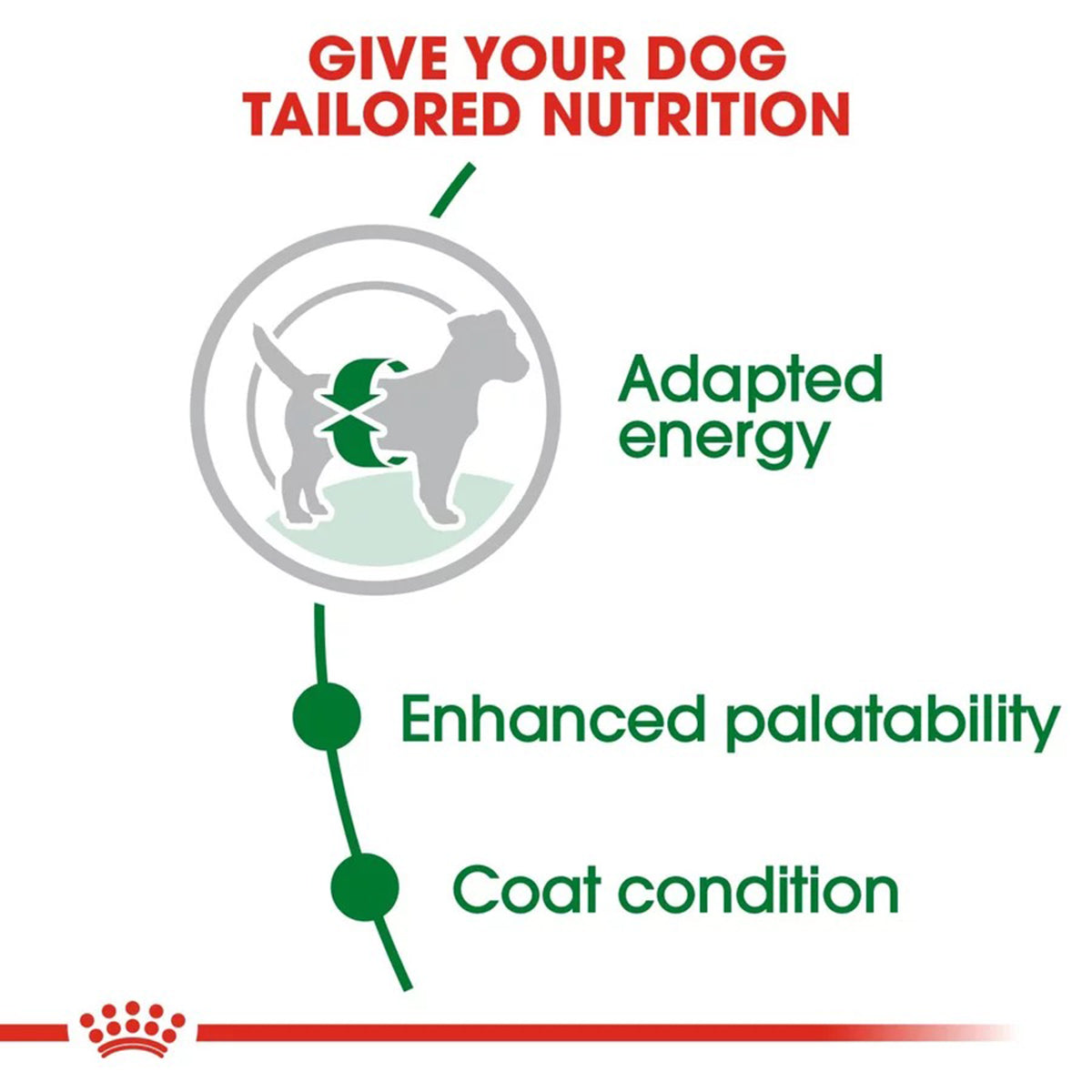 Royal Canin Mini Adult Dry Dog Food - Zigly