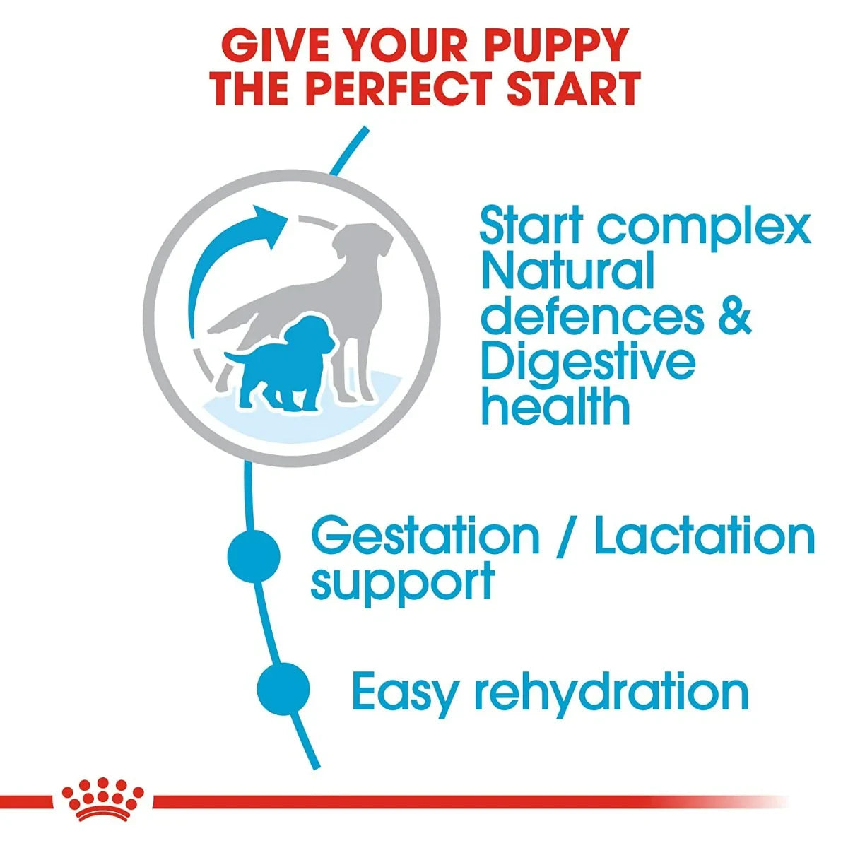 Royal Canin Medium Starter Dry Dog Food - 1kg - Zigly