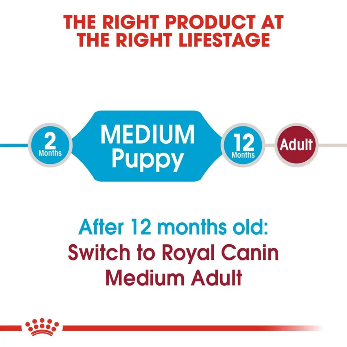 Royal Canin Medium Puppy Dry Dog Food - Zigly