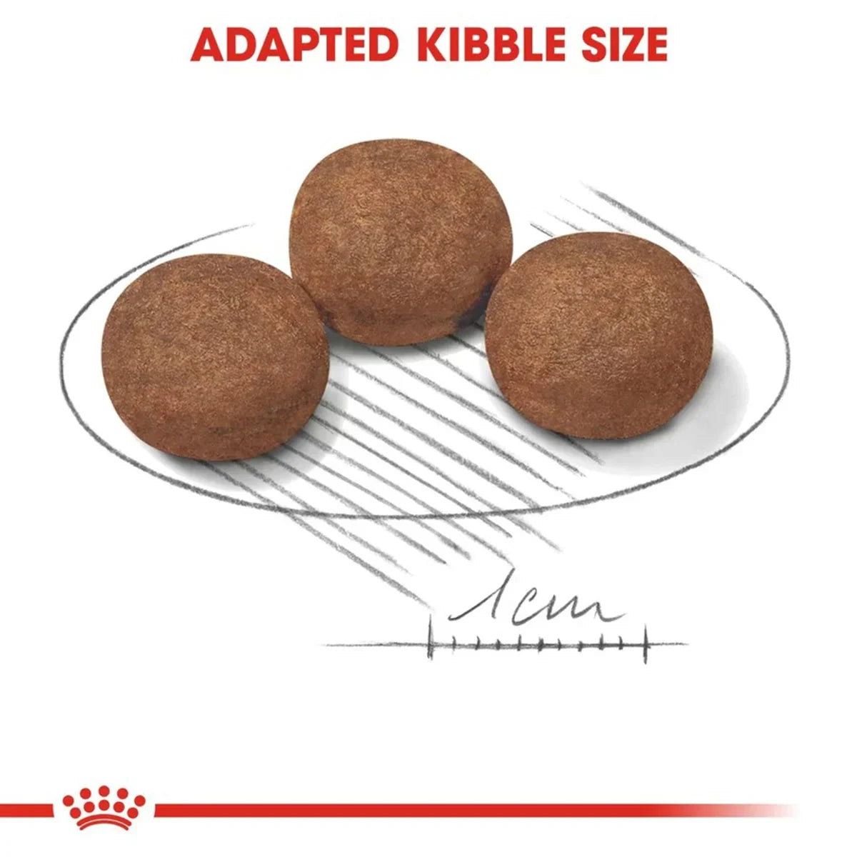 Royal Canin Medium Puppy Dry Dog Food - Zigly