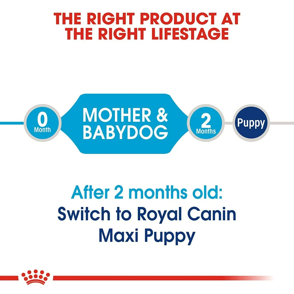 Royal Canin Maxi Starter Dry Dog Food - Zigly