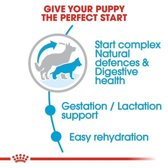 Royal Canin Maxi Starter Dry Dog Food - Zigly