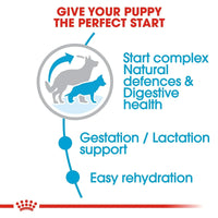 Royal Canin Maxi Starter Dry Dog Food - Zigly