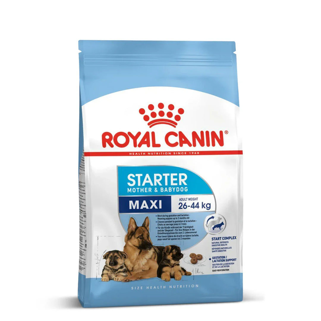 Royal Canin Maxi Starter Dry Dog Food - Zigly